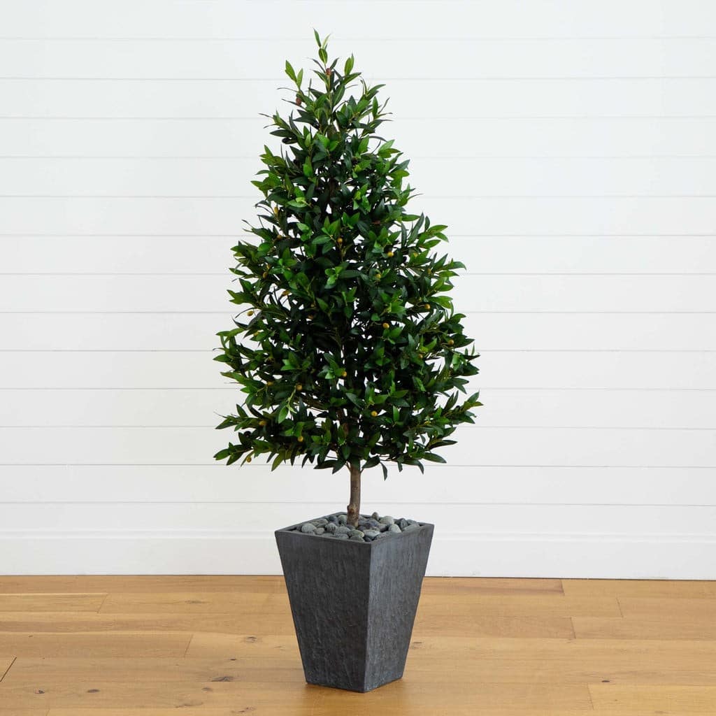 67” Olive Cone Topiary Artificial Tree in Slate Planter (Indoor/Outdoor) | Rental
