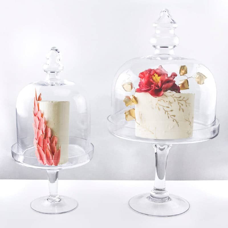 Cloche | Rental Cloche | Rental