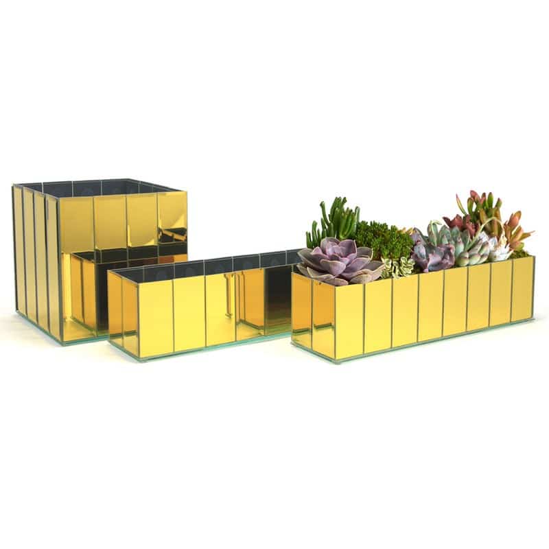 Segmented Mirror Glass Aquarium | Rental