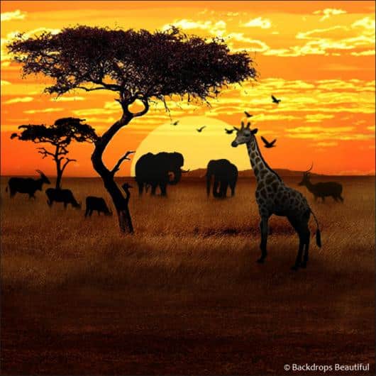 African Savannah 1 | Rental African Savannah 1 | Rental