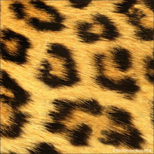 Skin Leopard 3B | Rental