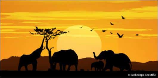 African Elephant Sunset 2 | Rental African Elephant Sunset 2 | Rental
