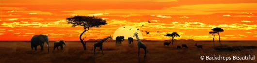 African Savannah 3 | Rental African Savannah 3 | Rental