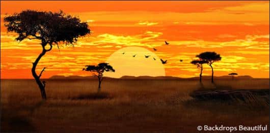African Savannah 2 | Rental African Savannah 2 | Rental
