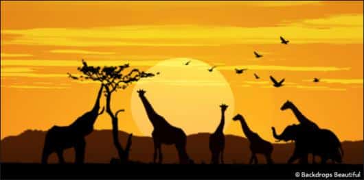African Animal Sunset | Rental African Animal Sunset | Rental