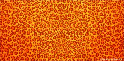 Skin Cheetah 1 | Rental