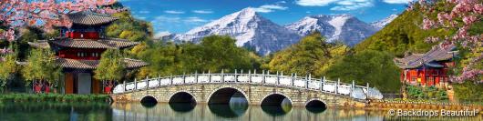 Asian Landscape 4 | Rental
