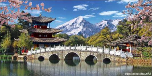 Asian Landscape 1 | Rental
