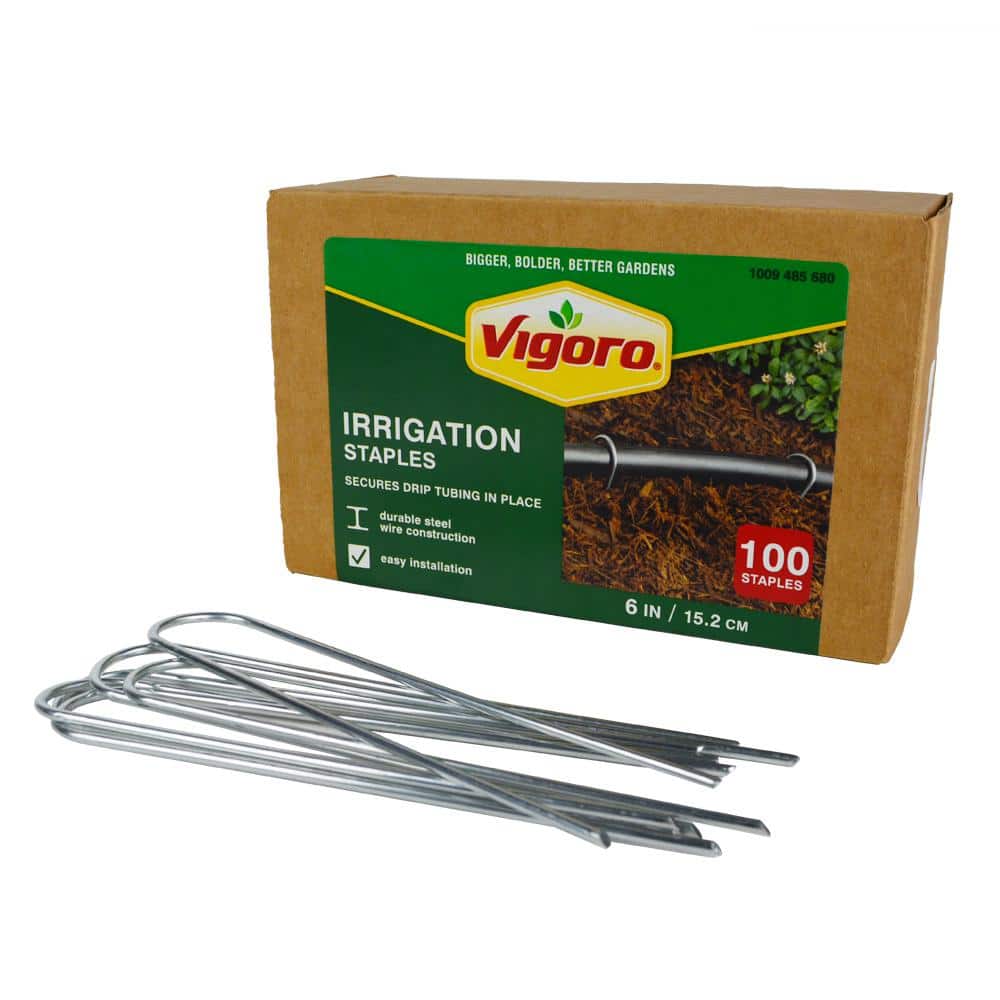 Vigoro — 6 in. X 1 in. Galvanized Drip Irrigation Stakes (100-pack) | Rental